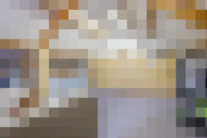 Rijnstraat 62 Veghel thumbnail 34