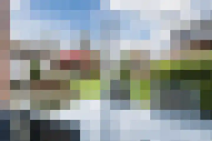 Rijnstraat 62 Veghel thumbnail 39