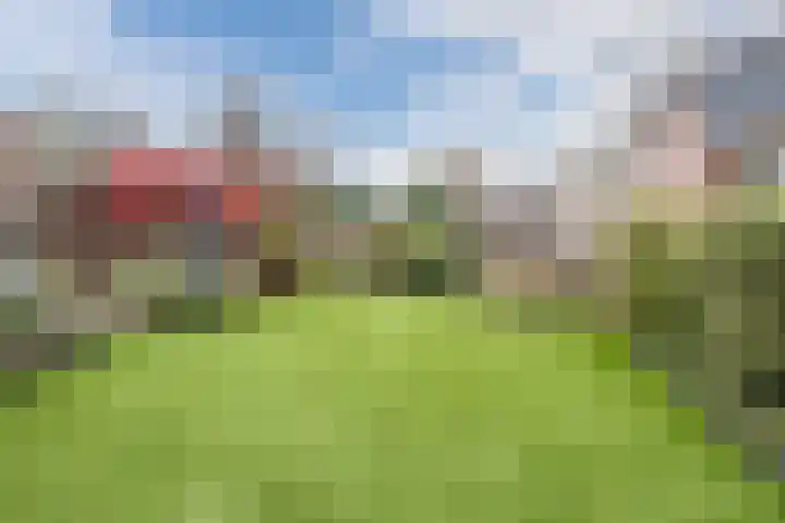 Rijnstraat 62 Veghel thumbnail 40
