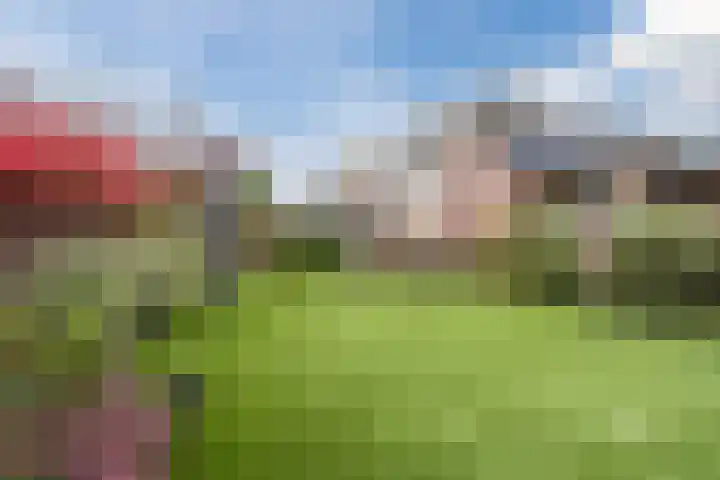 Rijnstraat 62 Veghel thumbnail 41