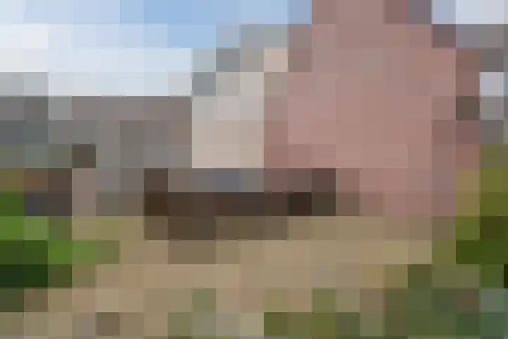 Rijnstraat 62 Veghel thumbnail 42