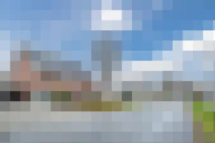 Rijnstraat 62 Veghel thumbnail 45