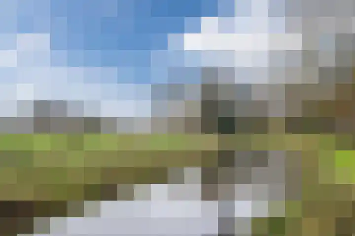 Rijnstraat 62 Veghel thumbnail 48