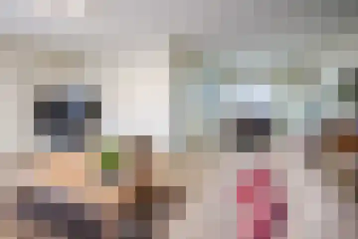 Rijnstraat 62 Veghel thumbnail 8