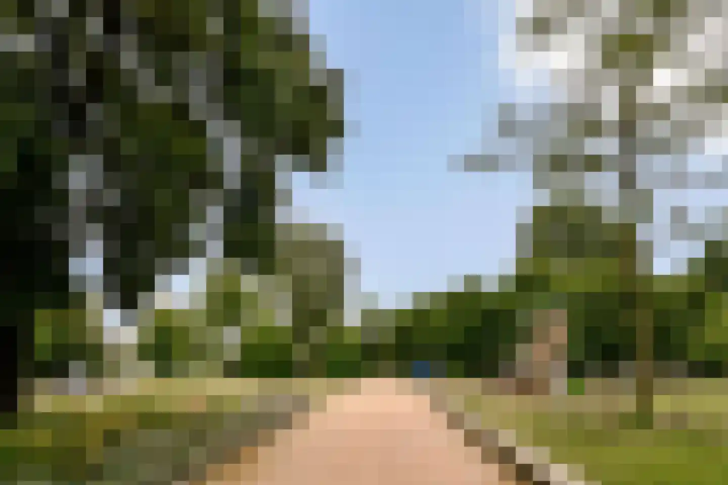 Rijnstraat 63 1 Amsterdam thumbnail 18
