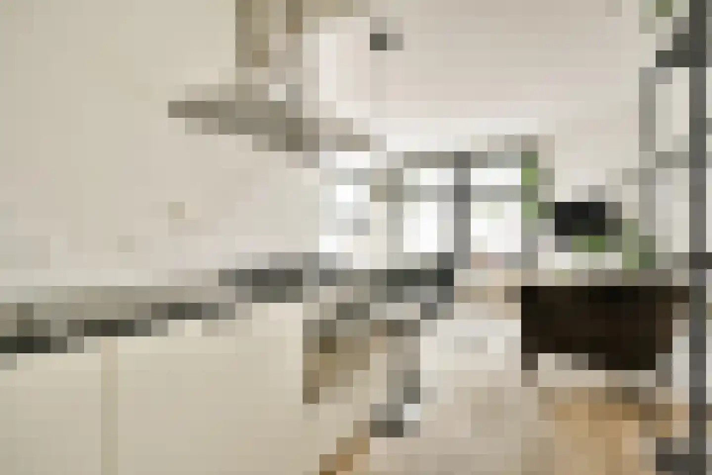 Rijnstraat 63 1 Amsterdam thumbnail 6