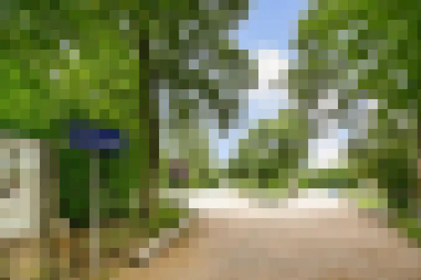 Rijnstraat 63 2 Amsterdam thumbnail 17