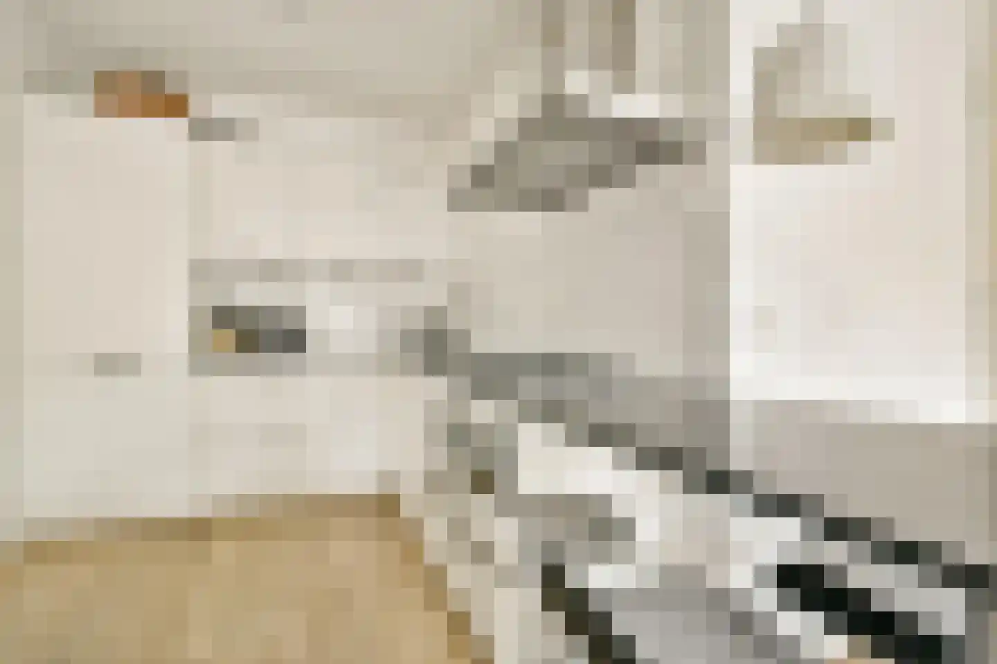 Rijnstraat 63 2 Amsterdam thumbnail 5