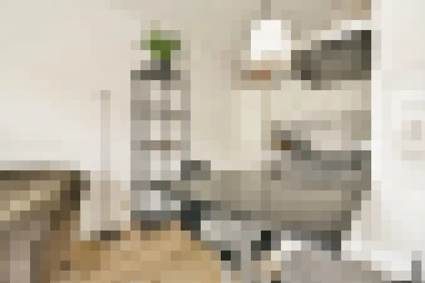 Rijnstraat 63 2 Amsterdam thumbnail 7