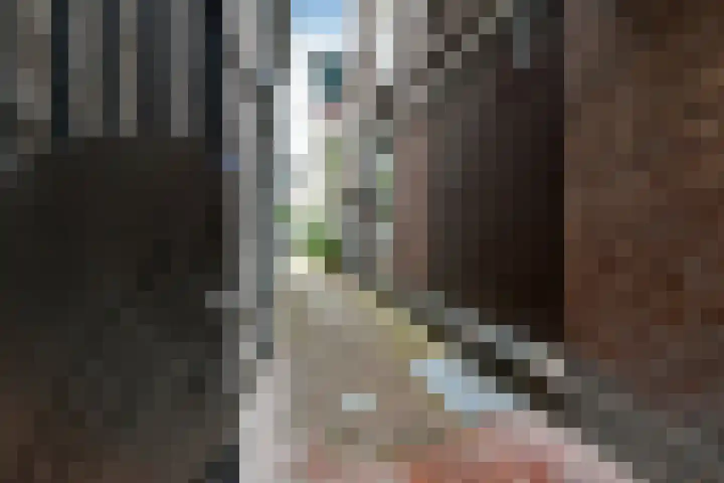 Rijnstraat 66 3 Arnhem thumbnail 5