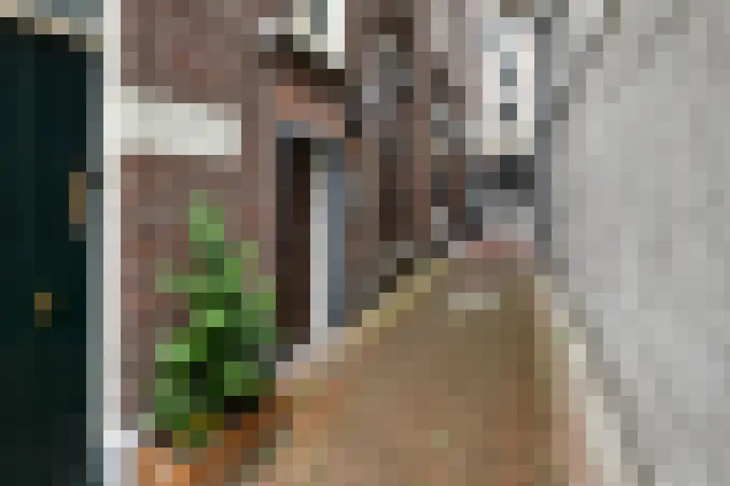 Rijnstraat 66 3 Arnhem thumbnail 6