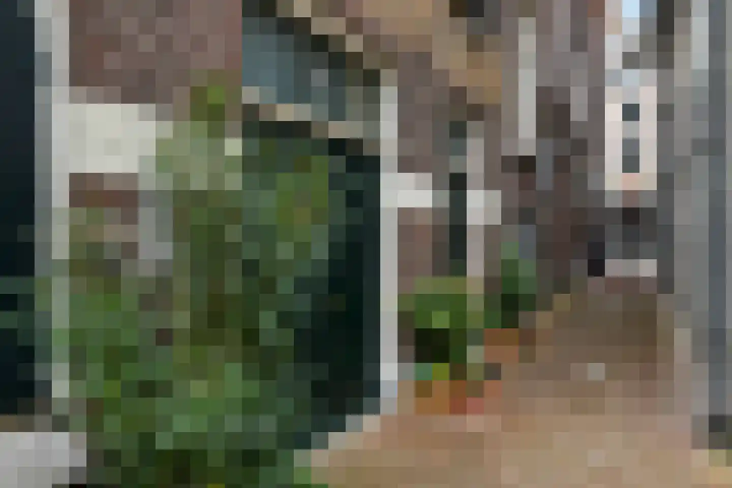 Rijnstraat 66 3 Arnhem thumbnail 7