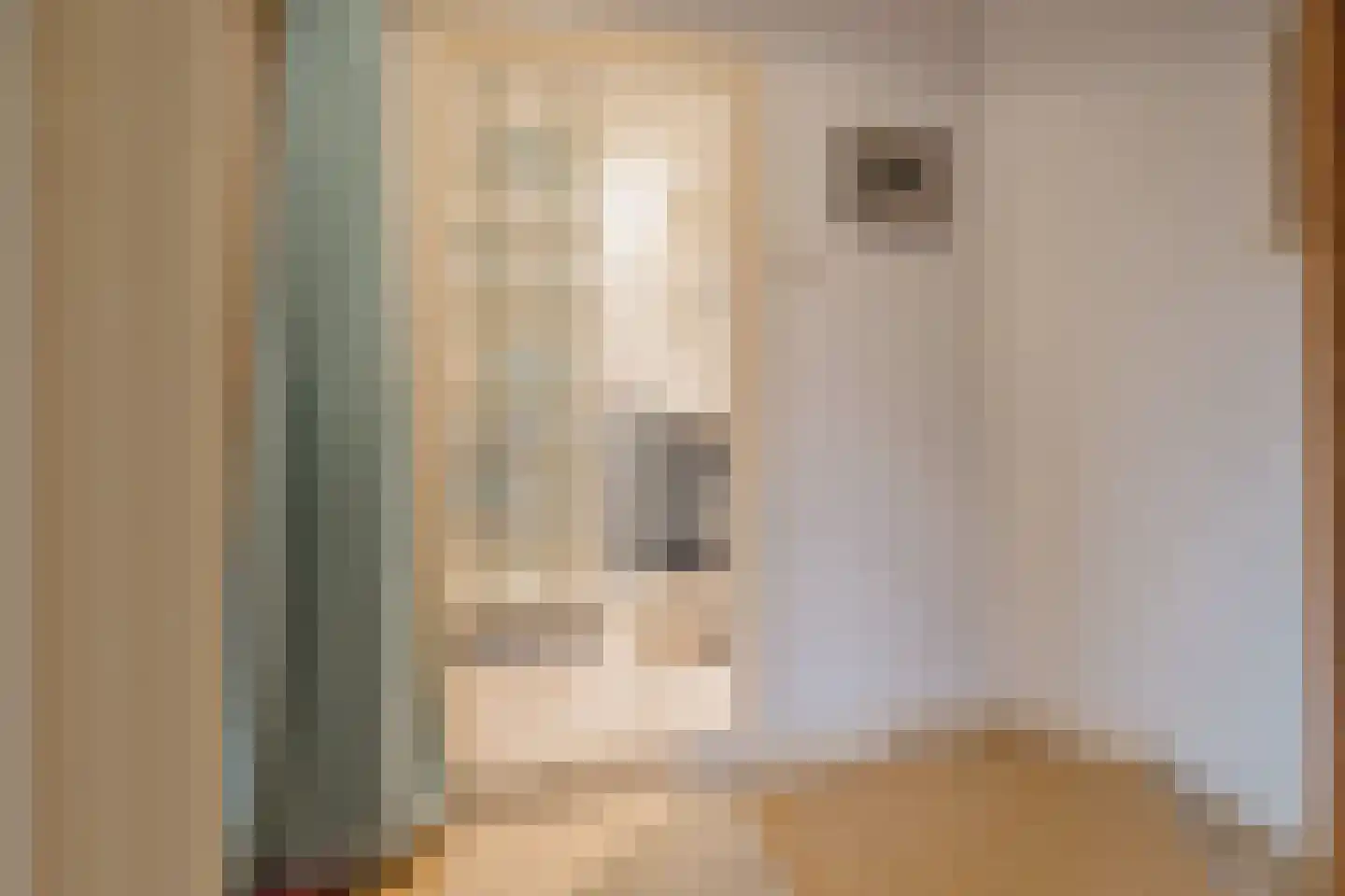 Rijnstraat 69 Haarlem thumbnail 20