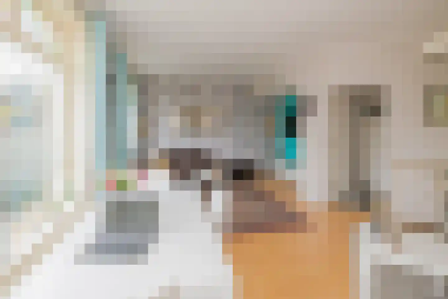 Rijnstraat 69 Haarlem thumbnail 5