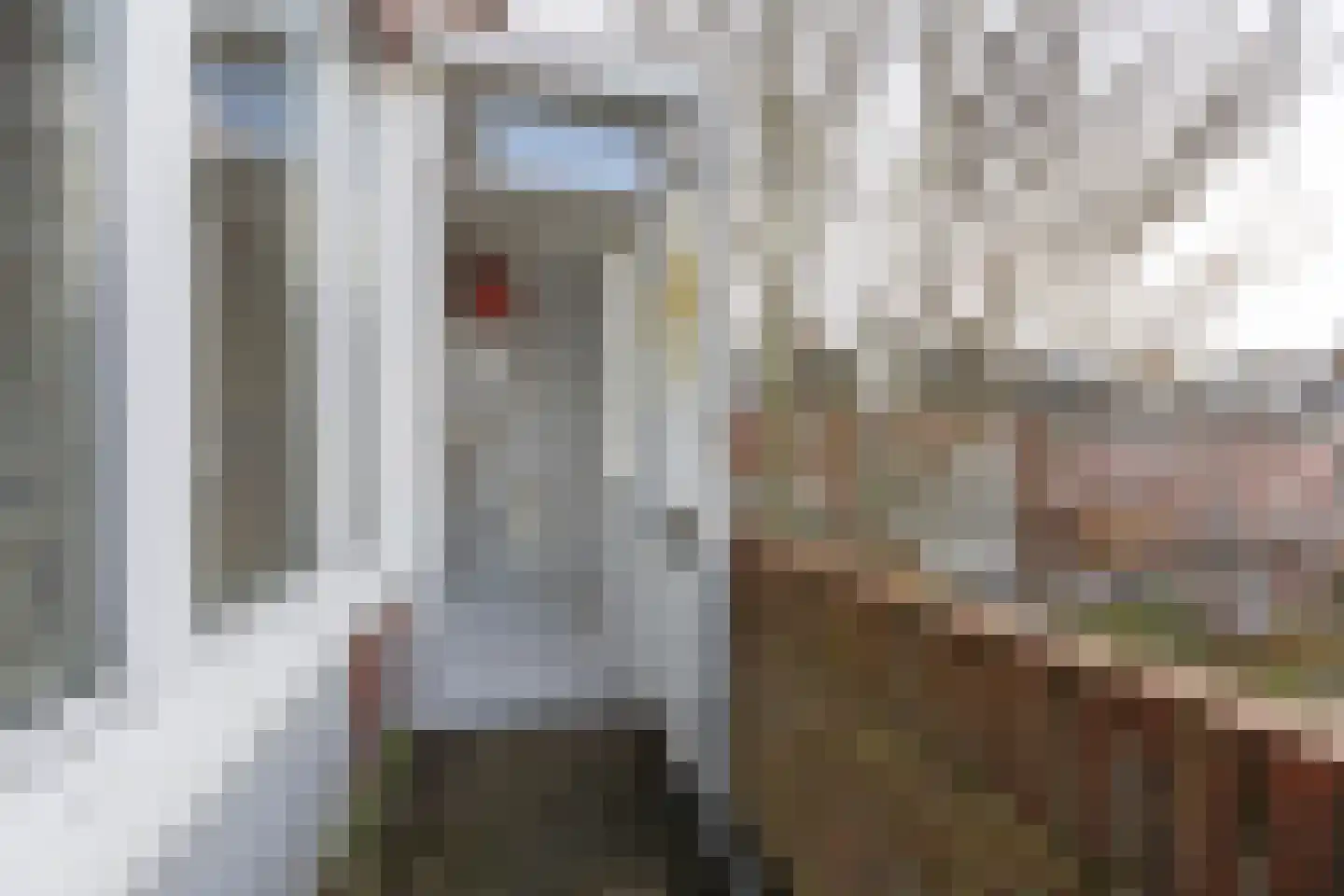 Rijnstraat 7 a Groningen thumbnail 17
