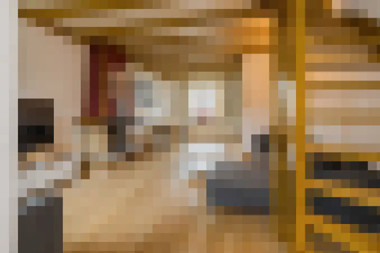 Rijnstraat 72 Haarlem thumbnail 11