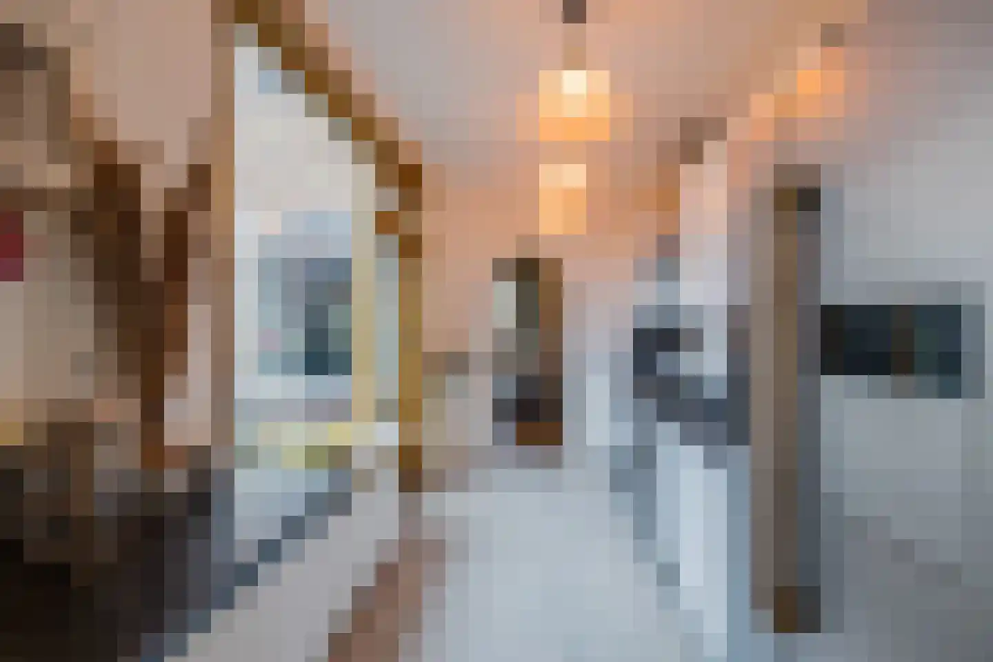 Rijnstraat 72 Haarlem thumbnail 16