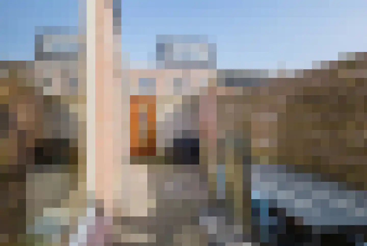 Rijnstraat 72 Haarlem thumbnail 20