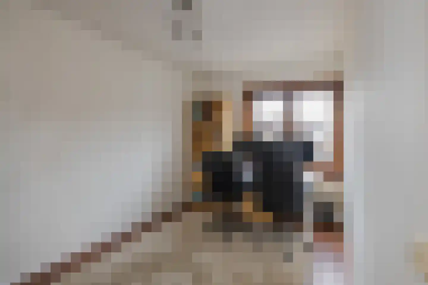 Rijnstraat 72 Haarlem thumbnail 33
