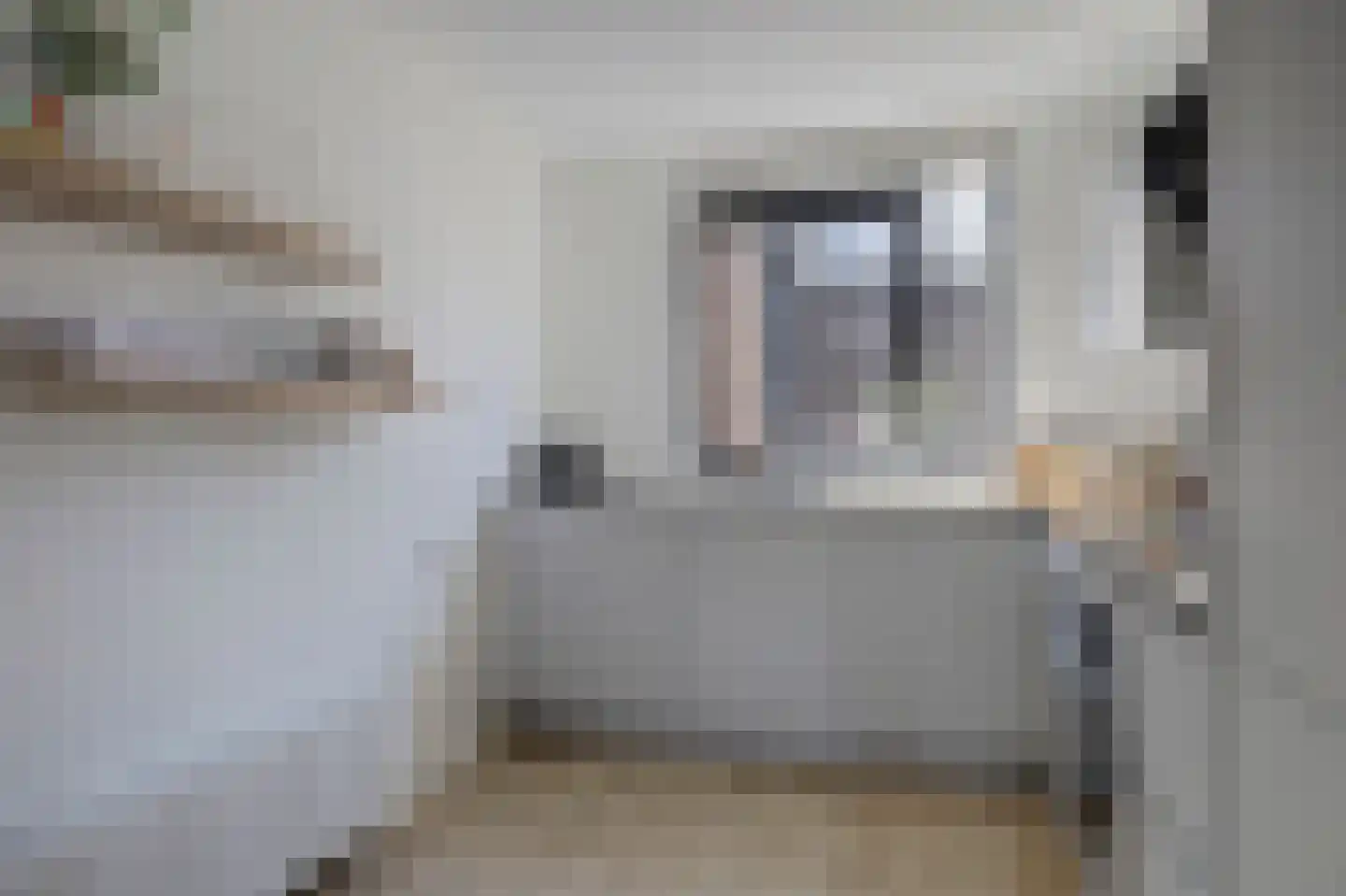 Rijnstraat 74 A Katwijk thumbnail 22