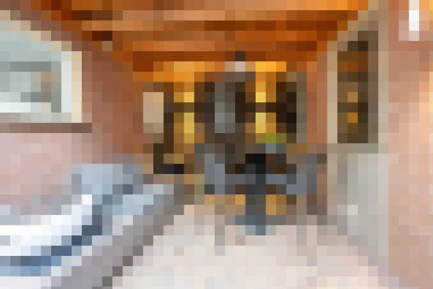 Rijnstraat 76 Haarlem thumbnail 14