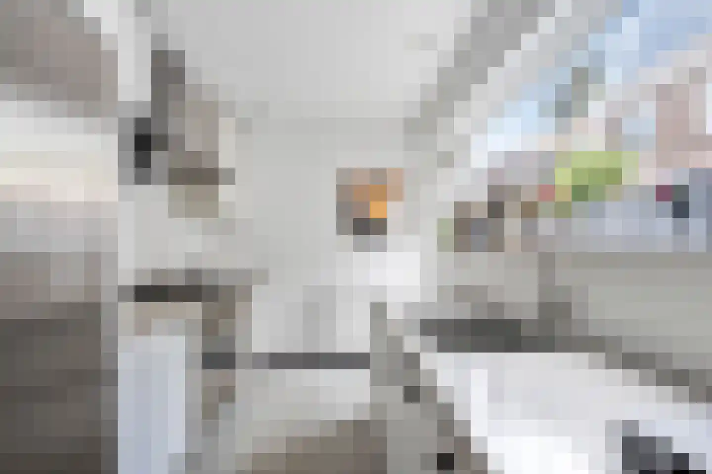 Rijnstraat 76 Haarlem thumbnail 15