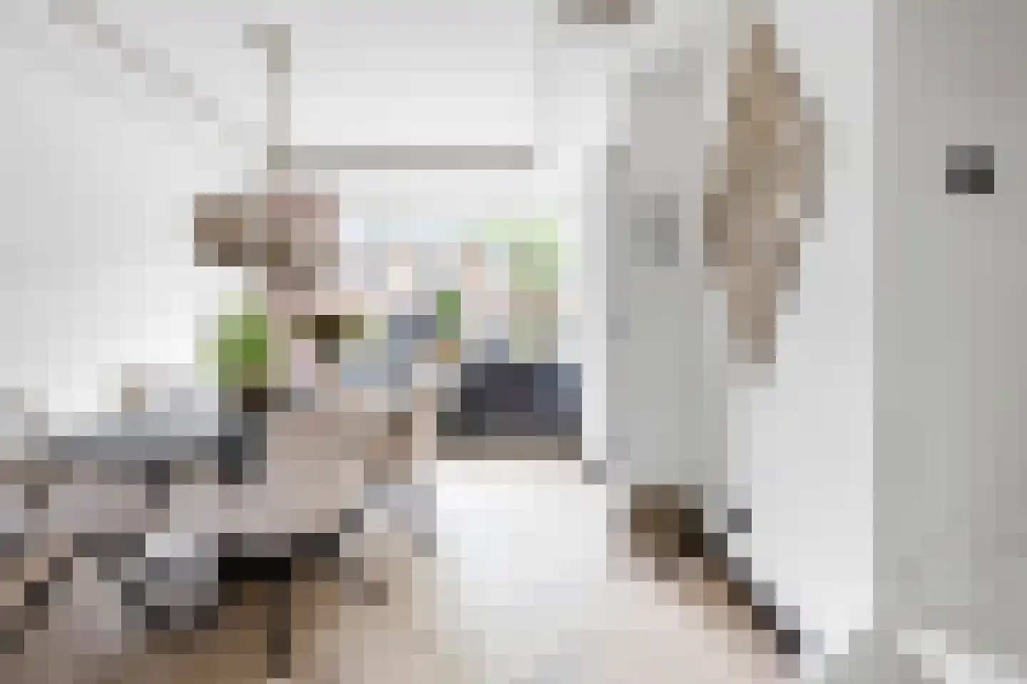 Rijnstraat 76 Haarlem thumbnail 4