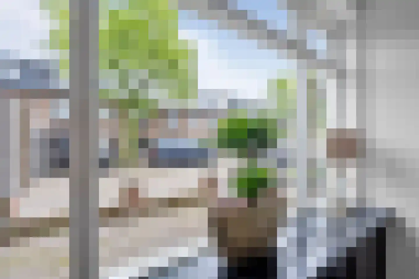 Rijnstraat 76 Haarlem thumbnail 5