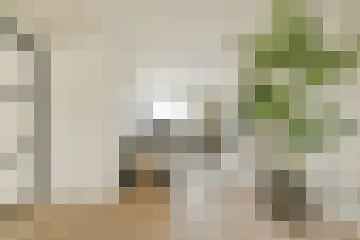Rijnstraat 8 4 Amsterdam thumbnail 7