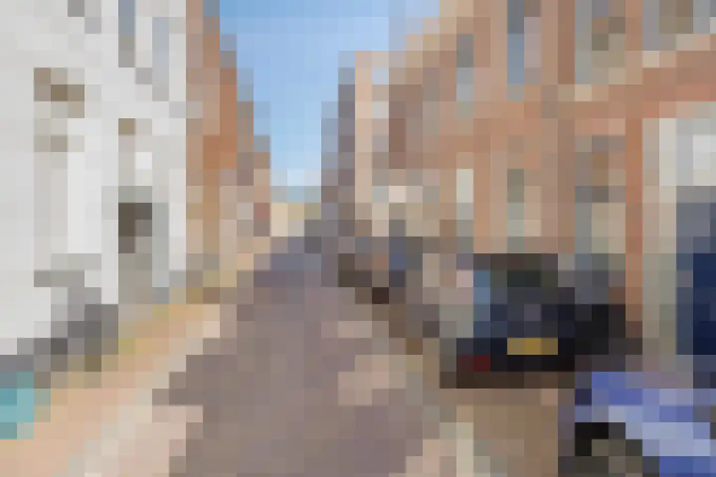 Rijnstraat 8 B Leiden thumbnail 26