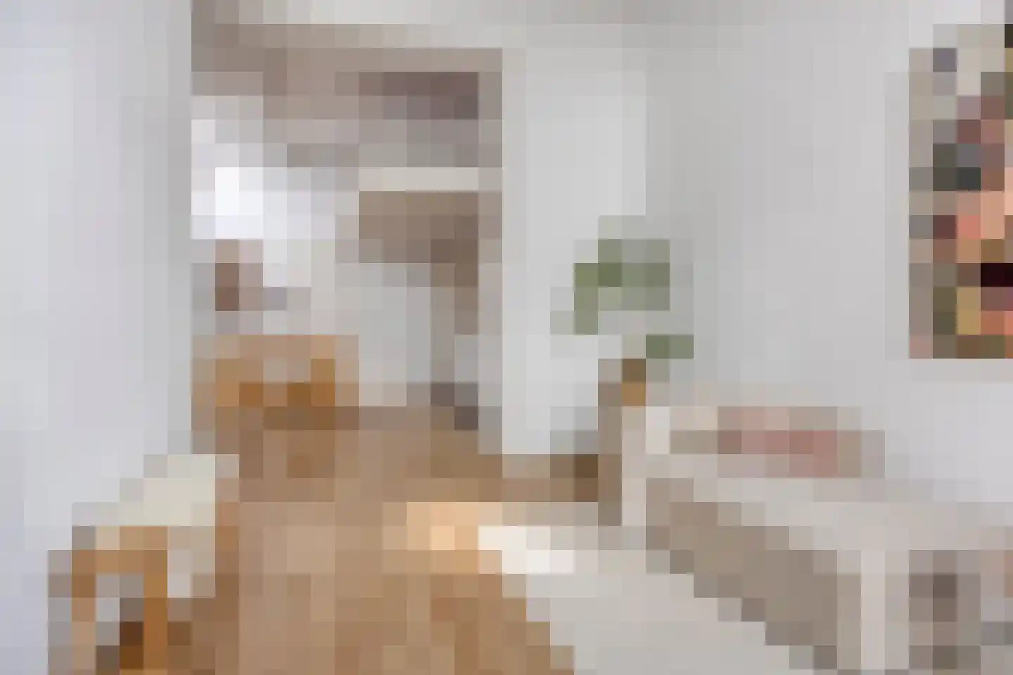Rijnstraat 8 B Leiden thumbnail 5
