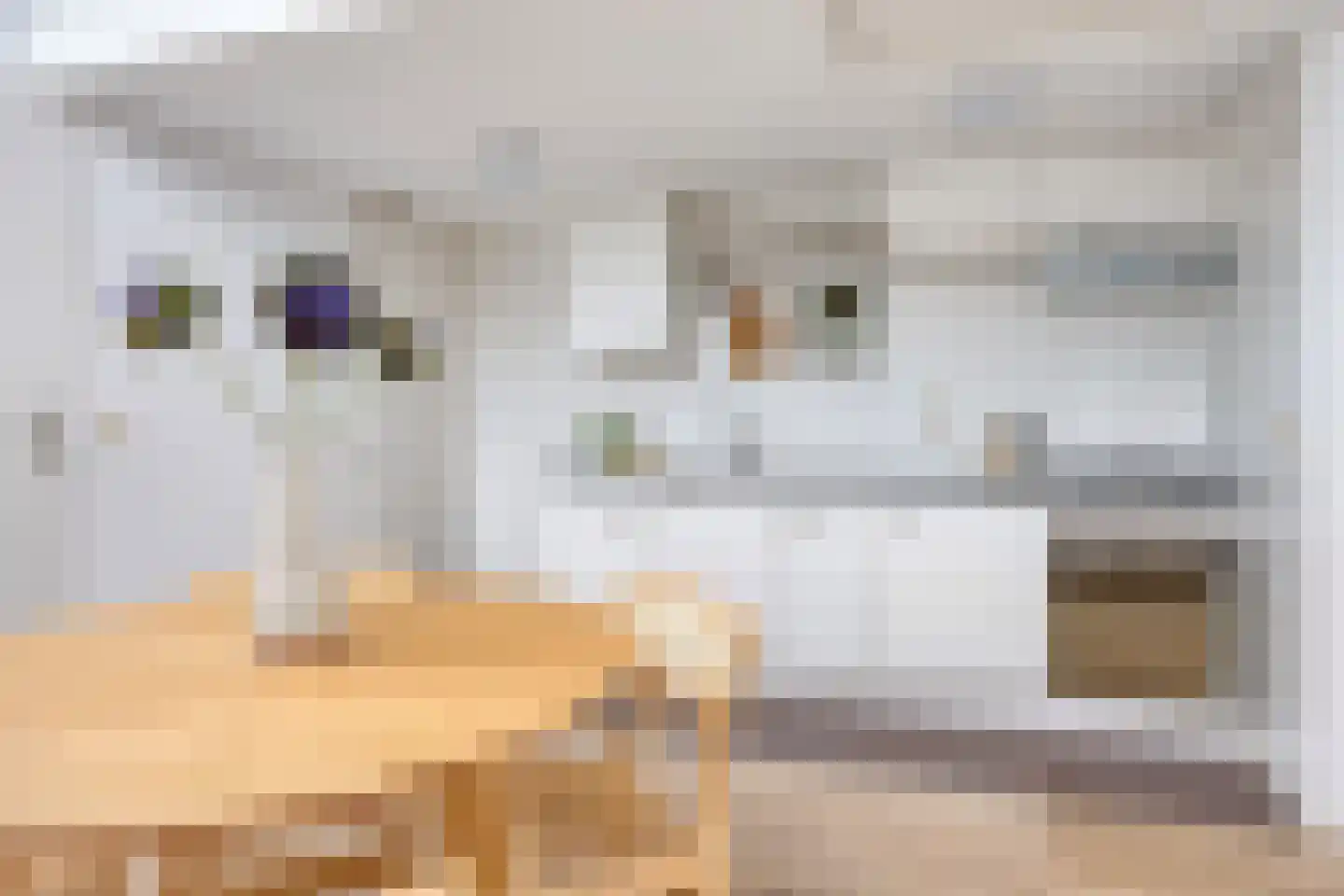 Rijnstraat 8 B Leiden thumbnail 8
