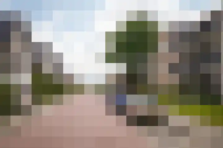 Rijnstraat 8 d Ingen thumbnail 36