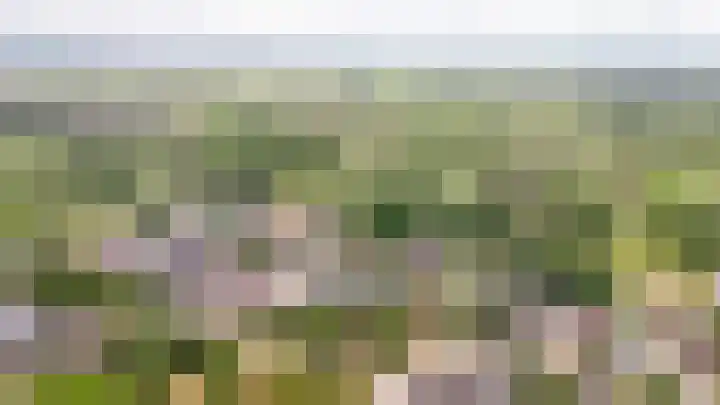 Rijnstraat 8 d Ingen thumbnail 39