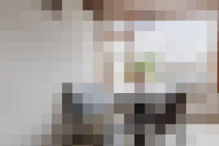 Rijnstraat 8 Dongen thumbnail 10