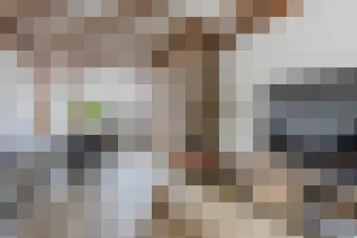 Rijnstraat 8 Dongen thumbnail 11