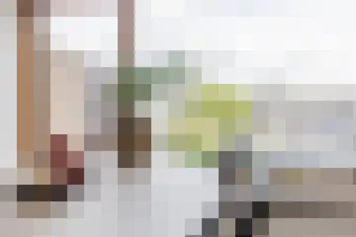 Rijnstraat 8 Dongen thumbnail 12