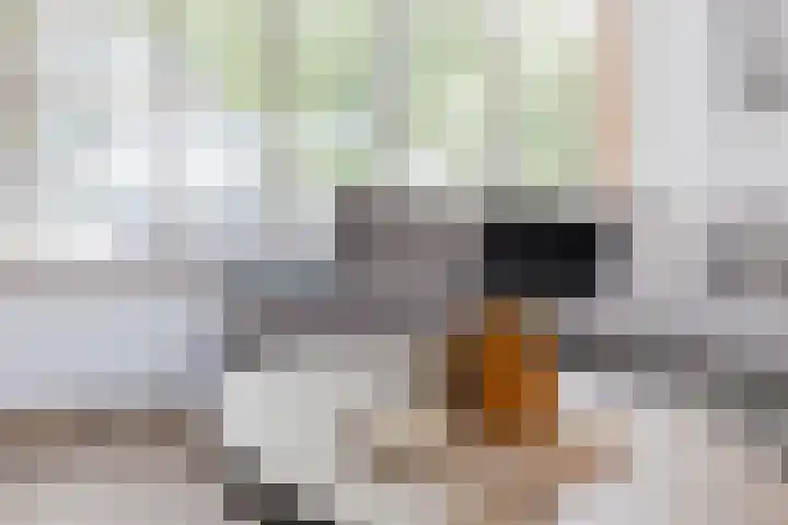Rijnstraat 8 Dongen thumbnail 13
