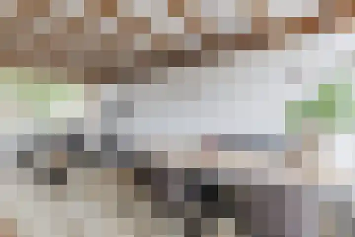 Rijnstraat 8 Dongen thumbnail 15