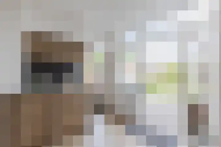 Rijnstraat 8 Dongen thumbnail 17