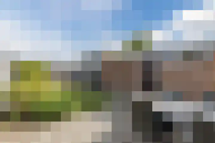 Rijnstraat 8 Dongen thumbnail 21