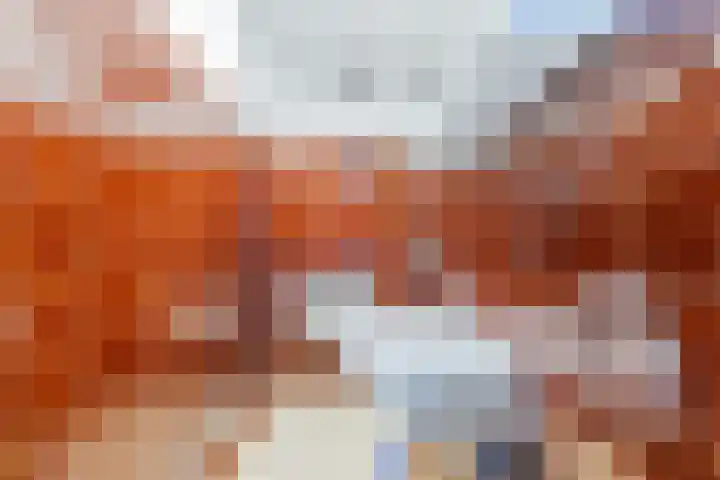 Rijnstraat 8 Dongen thumbnail 34