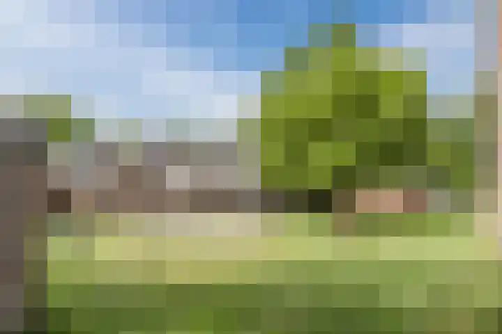 Rijnstraat 8 Dongen thumbnail 37