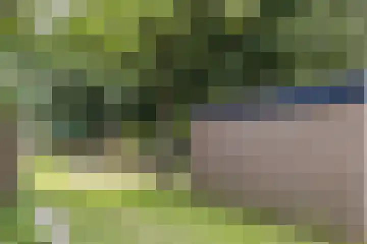 Rijnstraat 8 Dongen thumbnail 38