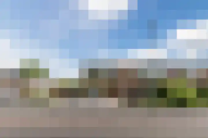 Rijnstraat 8 Dongen thumbnail 40