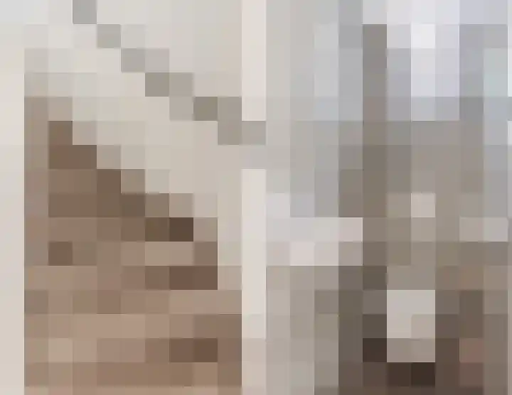 Rijnstraat 8 Dongen thumbnail 7