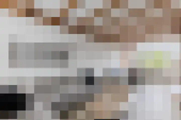 Rijnstraat 8 Dongen thumbnail 9