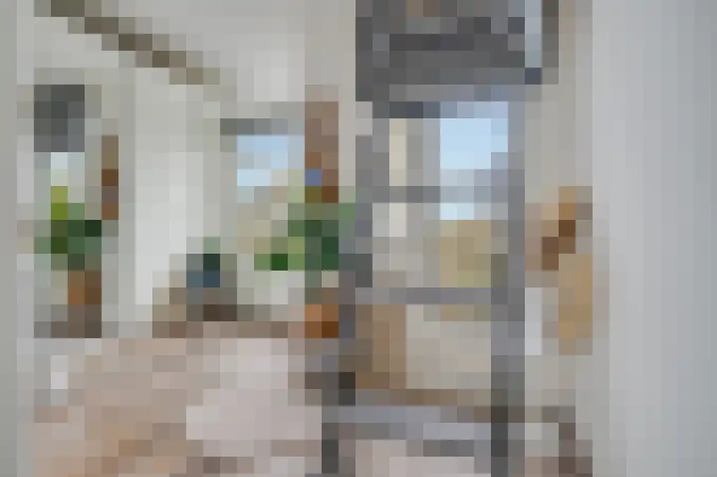 Rijnstraat 80 3 Amsterdam thumbnail 22