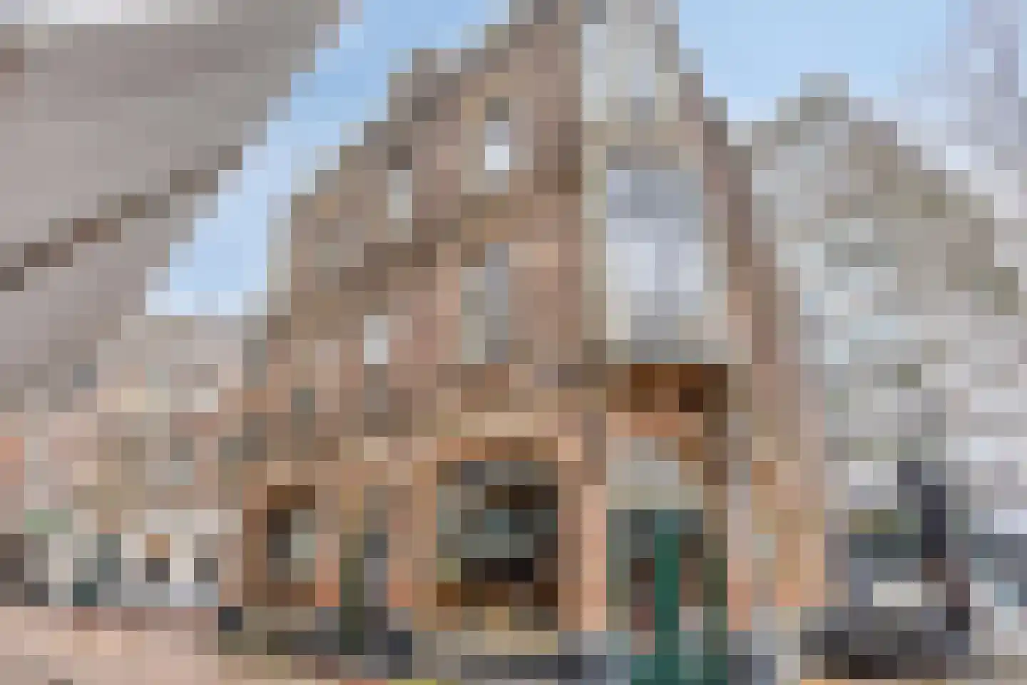 Rijnstraat 80 A 4 Arnhem thumbnail 14