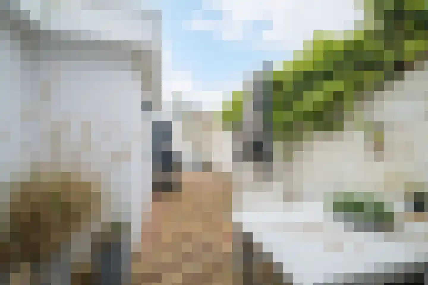 Rijnstraat 80 Breda thumbnail 50